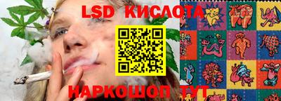 прущие крисы Славгород