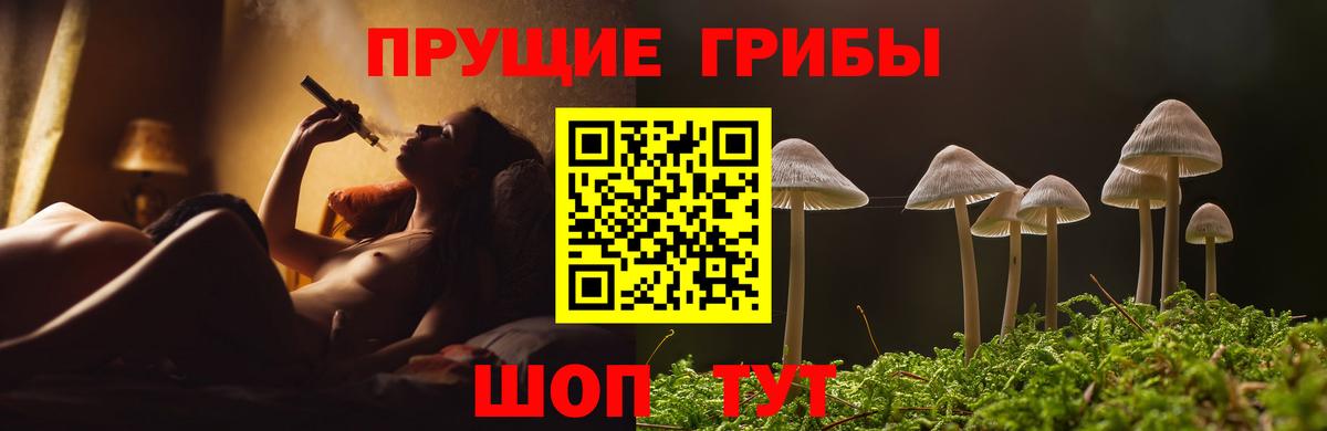 наркотики  Галлюциногенные грибы мухоморы  Вход с VPN  Моздок 